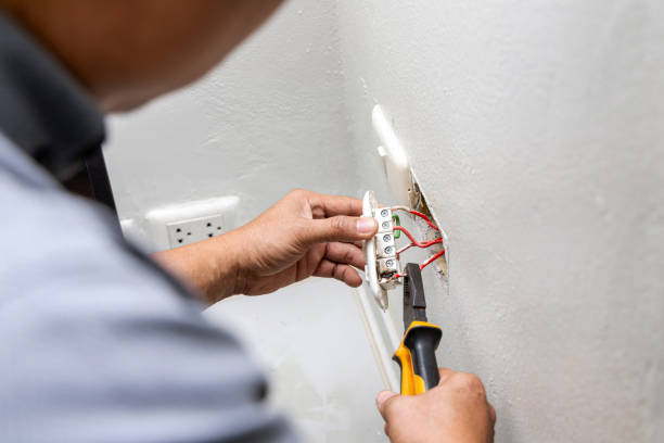 Best Home Electrical Repair  in Lake Fenton, MI